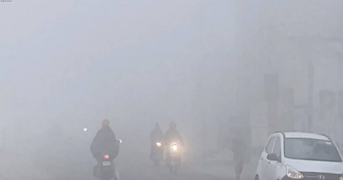 Fog blankets Bathinda as temperature drops, commuters face visibility challenges